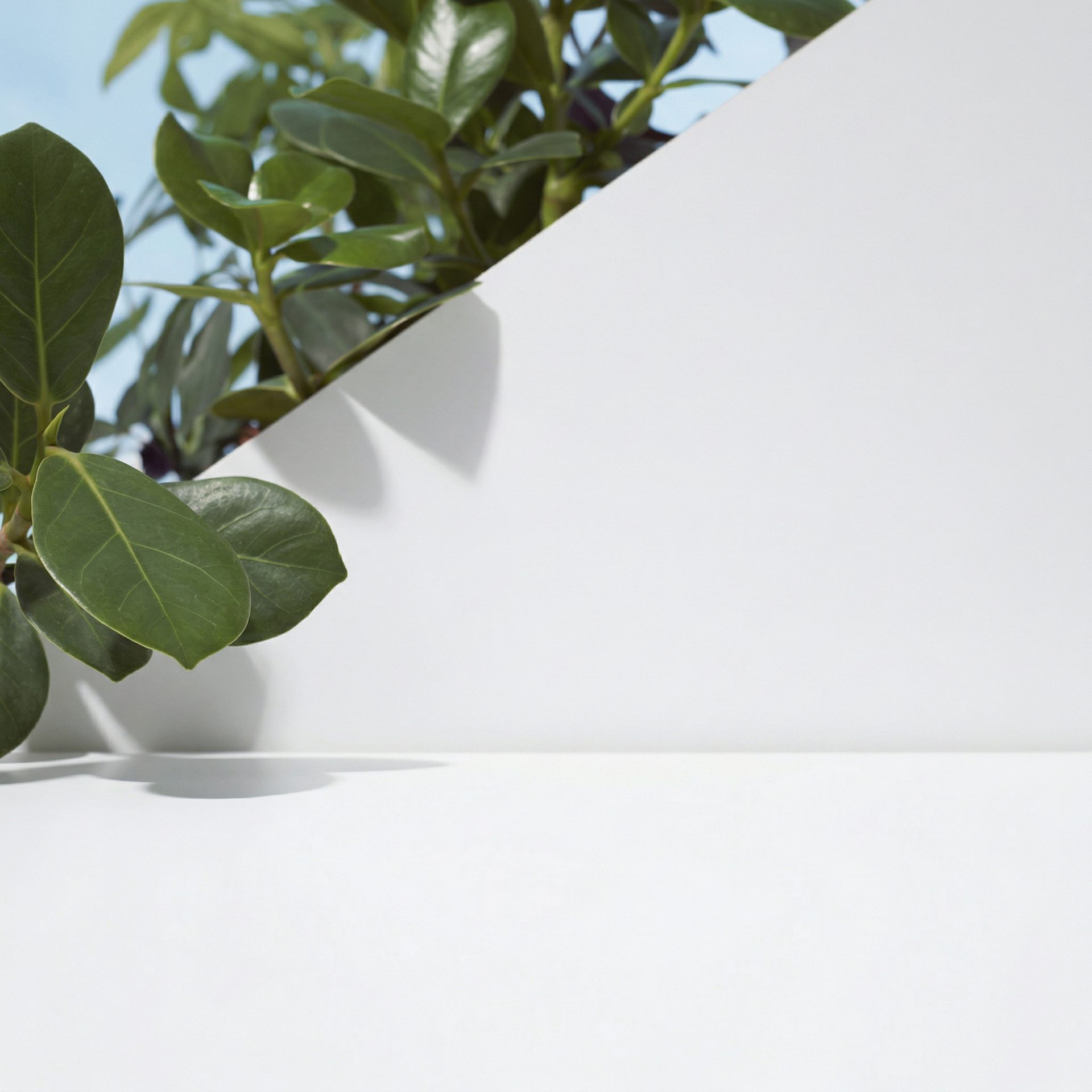 REVENA hero background